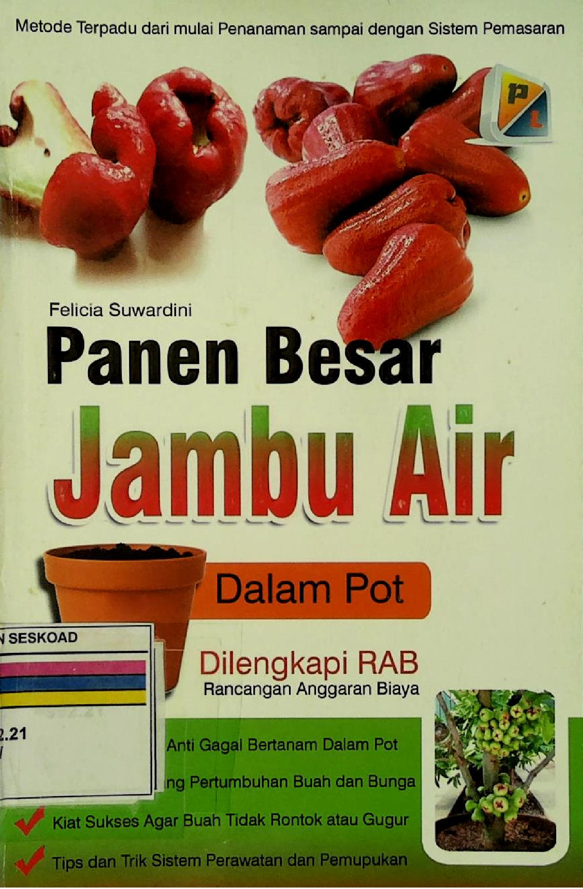 Panen Besar Jambu Air Dalam Pot Dilengkapi RAB